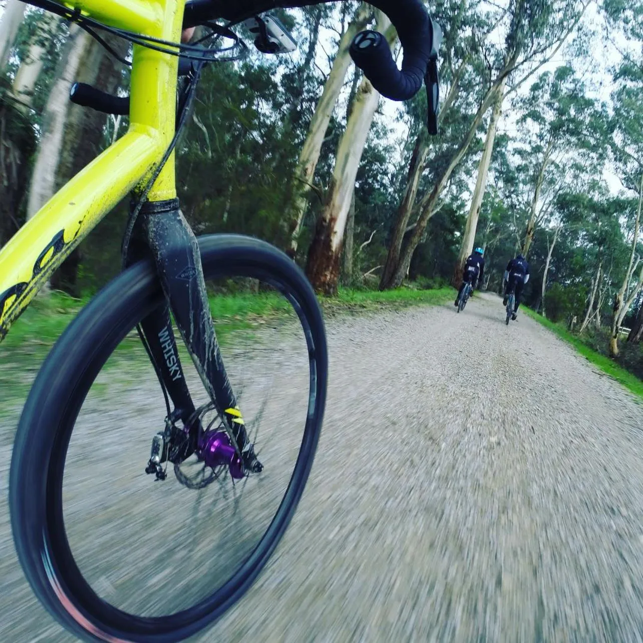 Warburton To Lilydale Rail Trail