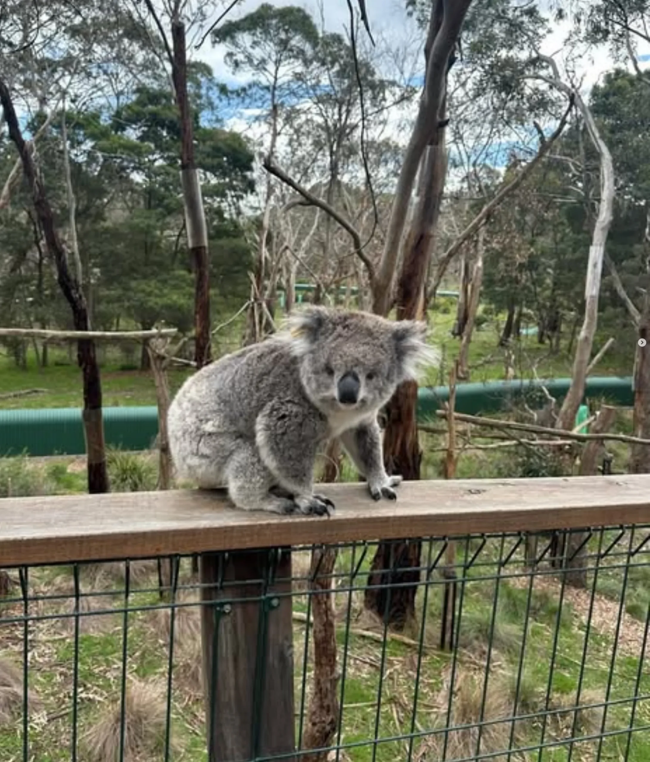Phillip Island attractions